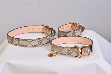 collier gucci chien